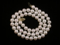 runde, weisse Perlenkette, 6,5-7mm, AAA