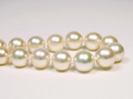 Glanzvolles Collier mit runden Südseeperlen in champagner, 9,1-12mm, AA+