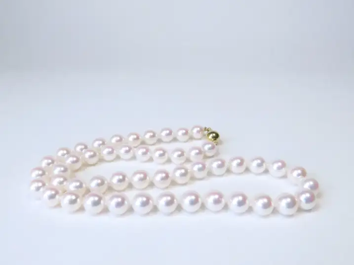 Japanische Akoya-Perlenkette im Durchmesser 8 bis 8,5 mm in AAA-Qualität, liegend auf hellem Untergrund mit der 14k Gelbgoldschließe hinten rechts.